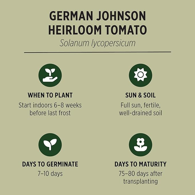 Banyan Botanicals Organic Tomato Seeds – Easy-to-Grow German Johnson Heirloom Beefsteak Tomato Seeds for Planting in Spring – 25 Count – Open Pollinated Non-GMO