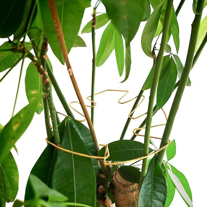 5PCS Monstera Plant Support, Uniquely Designed Plant Stem Support for Indoor Plants, Indoor Plant Trellis, Plant Lattice for Growth Accessories (7"×6.3", Gold)