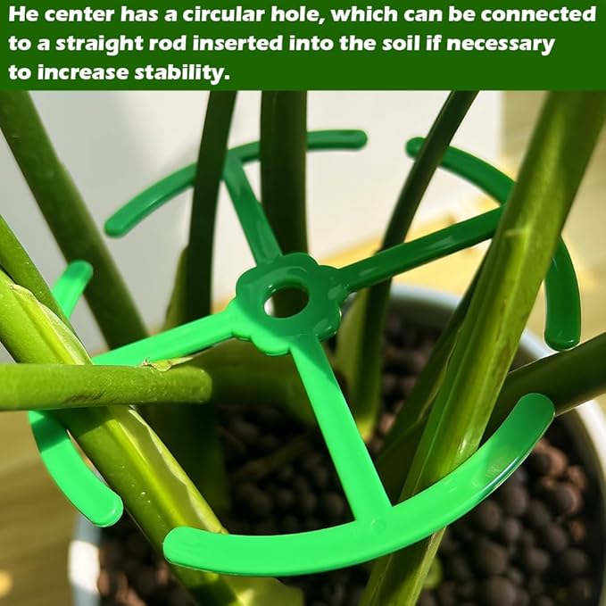 8 Pcs Plant Stem Support for Indoor Outdoor, Large 360-degree Different Sizes Monstera Support, Reusable Plastic Climbing Plant Stakes, Cages (Green)