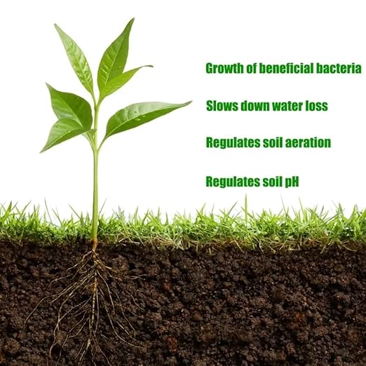 Viresta Soil Revitalizer - Viresta S-Oil Activator for Plants, Lawn & Garden Soil Conditioner - Plant Food Enhancer, Concentrated Humic Acid Formula - Promotes Root Growth & Nutrient Uptake (2Pcs)