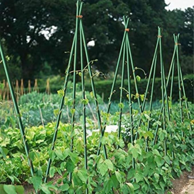 Growsun 4ft Tomato Stakes Garden Stakes Plant Cage Supports Tomato Trellis Climbing Metal w/Plastic Coated, Pack of 50