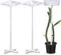 Vicenpal 2 Pcs Dragon Fruit Trellis 14"x14"x50" Cactus Trellis PVC Plant Support for Climbing Plants in Outdoor Gardens Climbing Plant Support Frame Easy Assembly Weatherproof for Vertical Garden