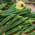 Emerald Okra Seeds, 50 Count COOL BEANS N SPROUTS Brand. Home Gardening.