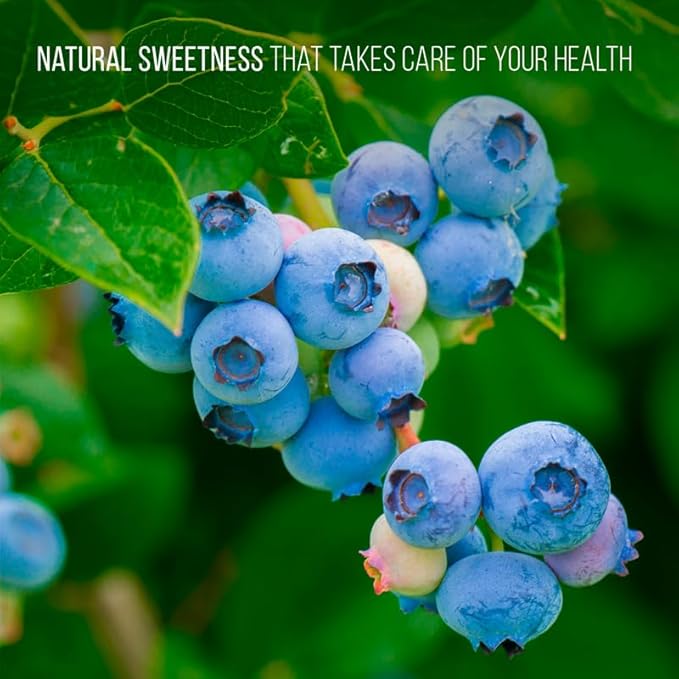 Blueberry Plant Biloxi (4 Pack) Live for Sale | Easy to Grow Plants | Edible Fruit Plant for Sustainable Living | Grow Your own Food on Your Edible Organic Garden| Live for Planting| No Seeds