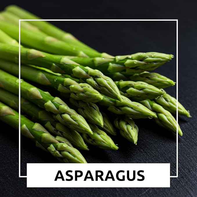 Green Asparagus Seeds – 150+ Non-GMO Seeds – Easy-to-Grow Perennial Garden Vegetable