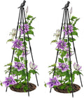 Trellis for Climbing Plants Outdoor, 2 Pack Plant Trellis Support for Climbing Vine, 63" Plant Support Tower Cages Plastic Coated Metal Pipe Supports for Outdoor Indoor, Potted Plants, Tomato cage
