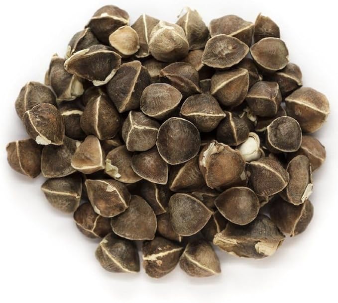 30 Organic Moringa Oleifera Drumstick Seeds, Non-GMO, for Sprouting, Planting, and Cooking by Mai's Family