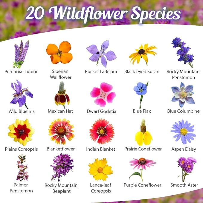 Rocky Mountain Wildflower Seed Mix 1oz - Premium Wildflower Seed Mix for Mountain Elevations 1oz