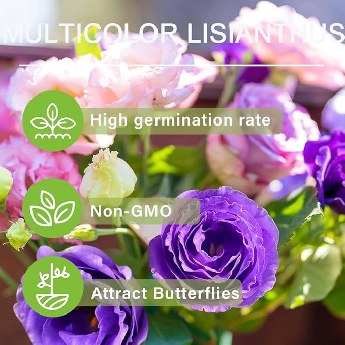 1050+Mixed Lisianthus Seeds for Planting-Perennial Eustoma Grandiflorum Flower Plants Seeds