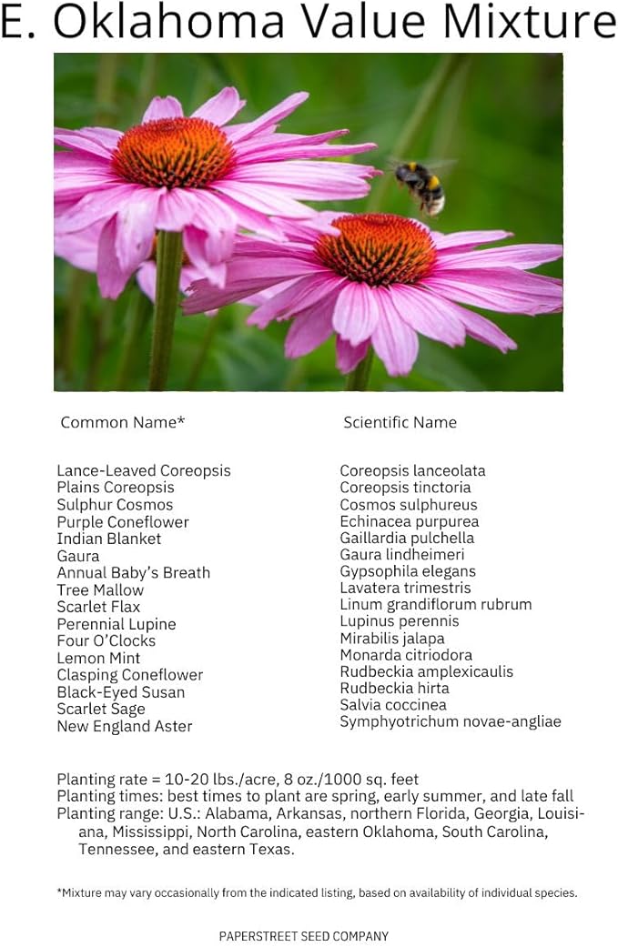 East Oklahoma Bulk Perennial Wildflower Seed Mix 1lb Covers 2,000sq-ft - Attract Pollinators, Multi-Color Blooms - Southeast US Species Plant in Spring/Fall, Earth-Friendly Packaging (1/4 Pound)