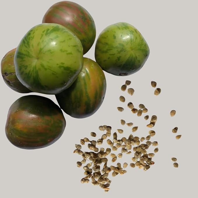 Smoke Camp Crafts Organic Green Zebra Tomato Seeds, 150 Seeds (0.5 g) - Grow Your own Heirloom Tomatoes, Open-Pollinated Variety