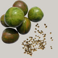 Smoke Camp Crafts Organic Green Zebra Tomato Seeds, 150 Seeds (0.5 g) - Grow Your own Heirloom Tomatoes, Open-Pollinated Variety