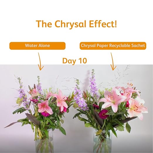 Chrysal Recyclable Paper Flower Food Packet - 100 ct, for 1L of Water