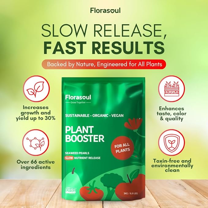 Florasoul® Slow Release Organic Seaweed Pearls 6.6lbs-550ft2, Concentrated Vegan Formula, Up to 30% More Growth/Harvest, 3-Month Sustained Nutrient Feed for Gardenbed, Lawns. Pet-Friendly