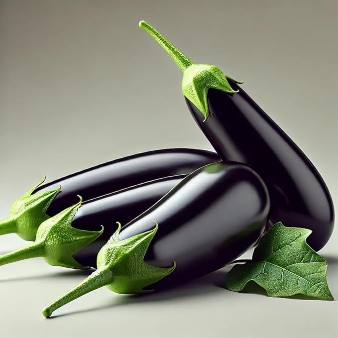 Eggplant Long Pop Seeds – Solanum Melongena | High-Yield Asian Eggplant Variety | Tender & Flavorful