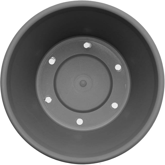 Bloem Terra 6" Diameter Round Charcoal Resin Planter Pot with Drainage Holes for Indoor and Outdoor Gardening