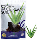 Potting Soil for Aloe Vera Plants Indoor Aloe Vera Plant Cactus Soil Potting Mix Aloe Vera Potting Mix Indoor Potted Aloe Plants Live Succulents Cactus Live Plants 2.4 Qts