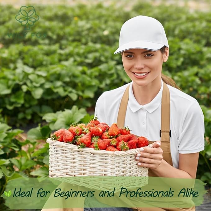 Rare Strawberry Seeds for Planting - 500 Fragaria × Ananassa Non-GMO Heirloom Seeds - Extra Big, Juicy, Sweet Strawberries