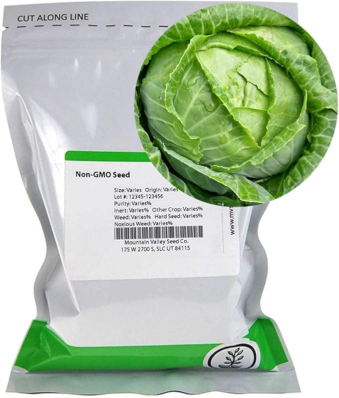 Cabbage Seeds - Danish Ball Head - 1 Oz ~6,500 Seeds - Non-GMO, Heirloom, Vegetable Garden, Micro Greens - Ballhead