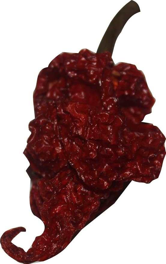 Red Tail Scorpion Chili Peppers 10 Dried Trinidad Seed Pods Plus 2 Free, Hotter than Ghost Pepper