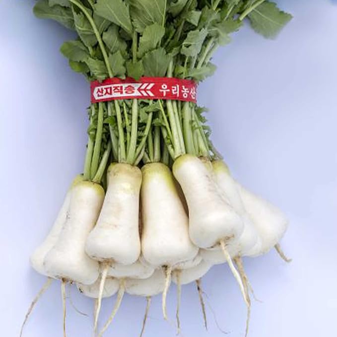Radish Seeds - Korean - Cheong Du - Hybrid - 1 Oz ~4500 Seeds - Non-GMO, F1 Hybrid - Asian Garden Vegetable