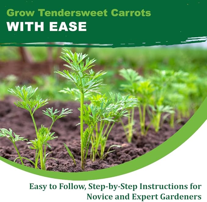 TKE Farms & Gardens - Tendersweet Carrot Seeds, 2500+ Non-GMO Heirloom Seeds, Grow Sweet, Crisp Carrots, Easy to Grow for Fresh Garden-to-Table Goodness, Includes Growing Instructions
