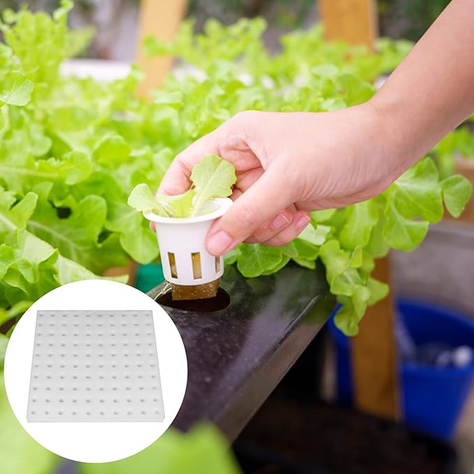 XIDAJIE 200 Pcs Hydroponic Sponges Planting Gardening Tool Soilless Cultivation Seedling Sponges Cultivation Sponge Greenhouse for Small Bud Growth & Grow Seedlings