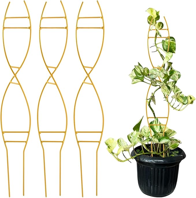 3PCS Indoor Plant Trellis for Potted Plants, Trellis for Climbing Plants Indoor, Metal Climbing Support with Unique DNA Spiral Design, Easy Installation Plant Support