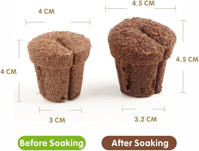 50pcs 1.5 Inch Phalaenopsis Orchid Growing Plugs, Hydroponic Growing Media for 1.5 Inch Orchid Cups, Breathable Planting Cubes for Orchid Seedlings and Transplanting
