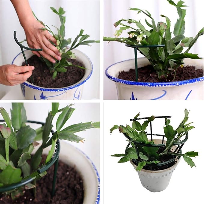 Belit 8 Pack Small Plant Support Plant Stakes, Garden Flowers Green Plant Support Ring, Planter Support Ring for Schlumbergera, Clivia, Vegetables, 5.5" Wide x 9.8" High