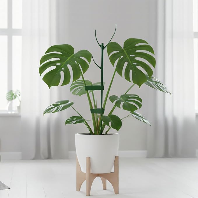 Plant Stakes for Indoor Plants, 5 Packs Stackable Monstera Plant Support, Plant Sticks Support Tall, Garden Accessories