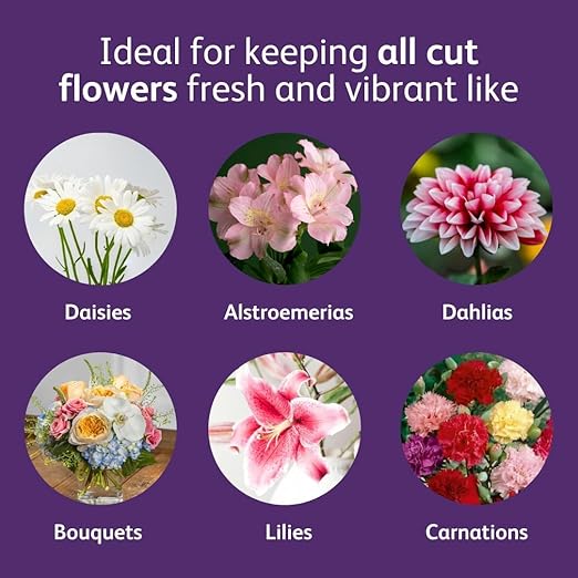 Chrysal Orchid Grooming & Feeding Set — 1 Year Supply of Orchid Food Drops, Leaf Shine (4.15 oz) & Precision Scissors — Everything Needed for Healthy Blooms & Foliage