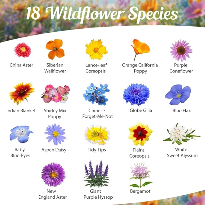 Bee Rescue Wildflower Seed Mix 1oz - Premium Wildflower Seed Mix for Native Bees and Pollinators 1oz