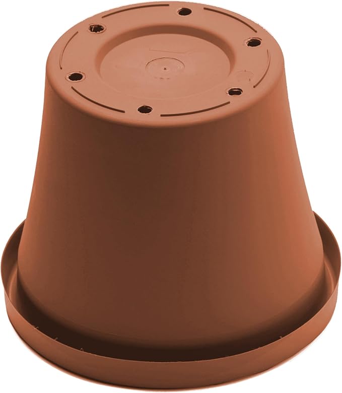 Bloem Terra 8" Diameter Round Terra Cotta Resin Planter Pot with Drainage Holes for Indoor and Outdoor Gardening