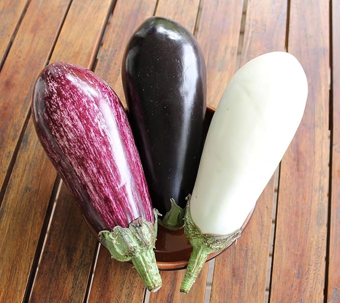 Seeds Eggplant Aubergine Long Mix Heirloom Vegetable for Planting Non GMO