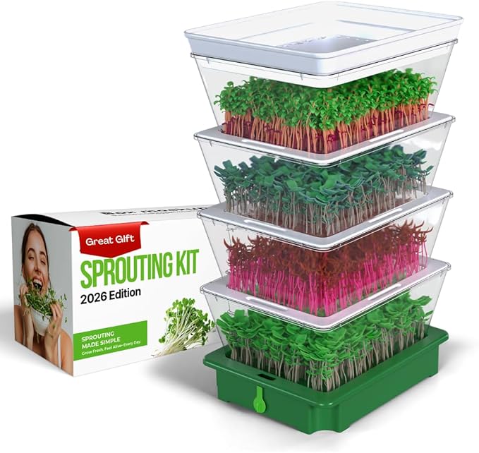 2026 Upgraded 4-Tier Stackable Seed Sprouter with Air Holes & Easy Sink-Draining Spout Tray – Soil-Free Sprouting System for Broccoli, Alfalfa & Bean Sprouts.