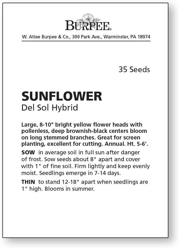 Burpee Del Sol Hybrid Sunflower Seeds 35 seeds