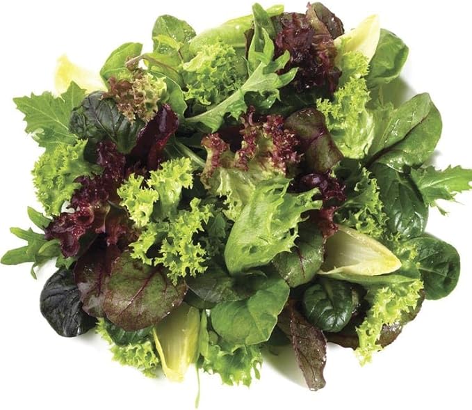 Park Seed Easy DIY Planting Sow Effortless Collection Seed Discs, Mesclun Mix, (Set of 2)