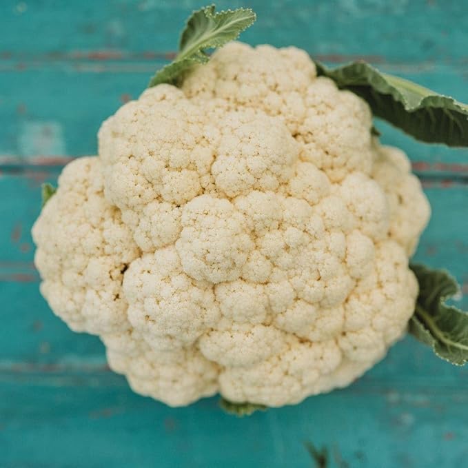 Amazing Cauliflower - 50 Seeds - Reliable Easy Growing Cauliflower Variety, Large White Crowns, Non-GMO Heirloom Cauliflower Seeds for Planting in The Home Garden, Thresh Seed Company