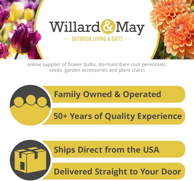 Willard & May Southeast All Perennial Wildflower Seed Mix, 125,000+ Flower Seeds, 15 Varieties, Pollinator Flowers, Full Sun, Easy Direct Sow Bulk Seeds, Plant in Spring or Fall (1/4 Pound)
