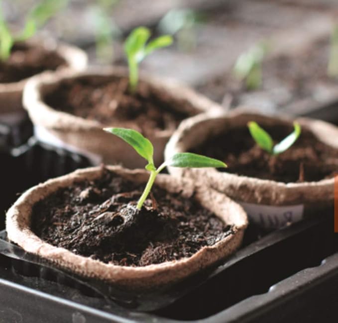 FDGARDEN 100 Pack 3 inches Biodegradable Seedling Peat Pots for Plants Seed Starter, Indoor Planting Cups for Seedlings with 100 Pack Plant Markers