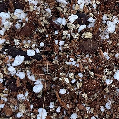 Succulent Potting Soil Mix (Senior Bag (8 quarts), String of Pearls)