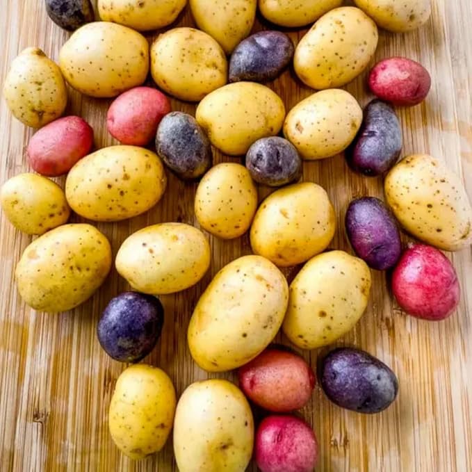 2 Lbs Mixed Potato Tubers High Yielding for Outdoor Planting,Vegetables Potatoes Plants Bulbs Seeds, Heirloom Seed Potato Live Tuber: Purple, Yellow, Red