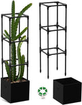 Dragon Fruit Trellis for Climbing Plants Indoor Outdoor, Heavy Duty Metal Adjustable Vertical Garden Support for Indoor Outdoor Potted Plants, Tomato, Cactus, Roses,Vines(12 * 12 * 47inch,1PC)