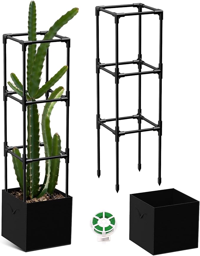 2PCS Dragon Fruit Trellis for Climbing Plants Indoor Outdoor, Heavy Duty Metal Adjustable Vertical Garden Support for Indoor Outdoor Potted Plants, Tomato, Cactus, Roses,Vines(12 * 12 * 47inch,2PC)