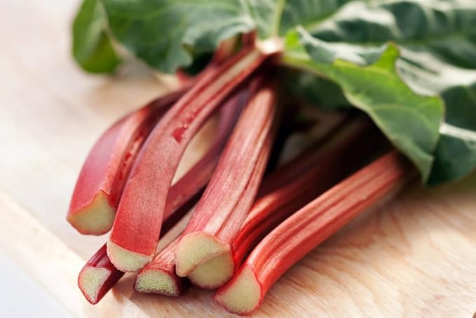 NIKA SEEDS - Seeds Vegetable Rhubarb - 25 Seeds