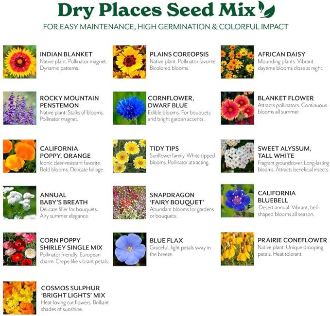 Grow Your Own Vibrant Annual and Perennial Wildflower Garden Mixture, Varieties for Pollinators and Spring Gardens - Dry Places Mix, 1 lb