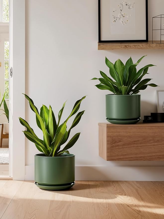 LE TAUCI Ceramic Pots for Plants, 8 Inch Plant Pot with Drainage Hole & Saucer, Modern Planters for Indoor Plants, Round Flower Pot for Snake Plant, Monstera, Perfect for Home Decor, Forest Green