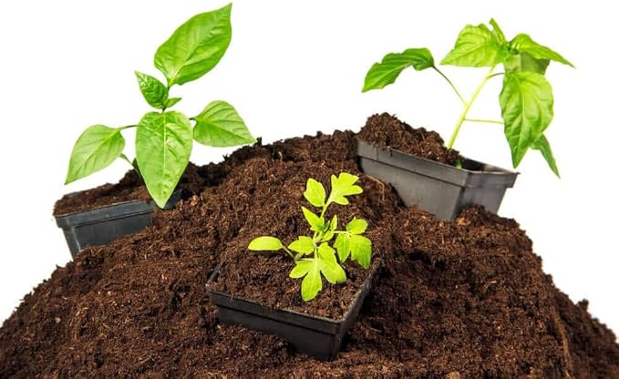 Natural Sphagnum Peat Moss Organic Soil Conditioner, Potting Soil, Soil Amendment & Media - Nutrient Enriching Gardening Soil Perfect for Indoor, Outdoor & Carnivorous Plants 1QT Bag Size