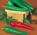 Pepper Hot Anaheim Chili Great Heirloom Vegetable Seeds by Seed Kingdom (3,000 Seeds)